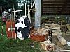 DSC05821.jpg